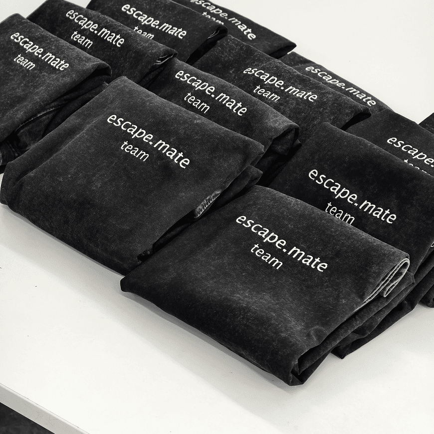 футболки с лого для команды